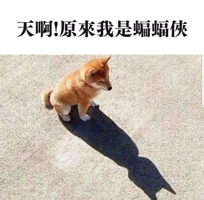 图片上方有文字'天啊!原來我是蝙蝠俠'，下方是一只棕色柴犬幼犬蹲坐在水泥地面上，它的影子被拉长变形，意外呈现出类似蝙蝠侠的轮廓，形成有趣的视觉反差。