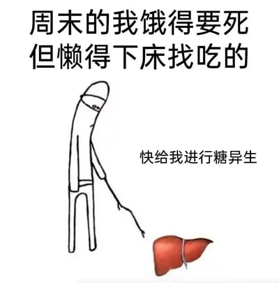 这是一张结合医学知识的搞笑网络梗图，顶部配文“周末的我饿得要死但懒得下床找吃的”精准点出当代年轻人周末犯懒的状态。图中绘制了一个拄着拐杖、眼皮耷拉、虚弱不堪的火柴人，他伸出手指向旁边的肝脏图案，配文“快给我进行糖异生”。糖异生是人体肝脏在饥饿状态下，将非糖物质转化为葡萄糖为身体供能的生理过程，这张图通过拟人化的趣味表达，调侃自己懒到不想下床找食物，转而“命令”肝脏启动糖异生功能来维持能量，用专业的医学知识放大懒人的搞笑心态，反差感拉满，容易引发有类似经历的网友共鸣。