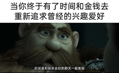 这是一张改编自影视片段的梗图，采用图文混排的形式。顶部配有文字“当你终于有了时间和金钱去重新追求曾经的兴趣爱好”，下方是动画电影《驯龙高手》中角色斯多戈的截图，他双眼睁大、嘴巴微张，神情满是动容与深情，截图下方的台词为“你还是和我失去你的那天一般美丽”。这张图将曾经因现实原因被迫放下的兴趣爱好拟人化为久别重逢的挚爱，通过影视中的深情场景，生动地表达了当人们终于拥有时间与金钱，得以重拾昔日爱好时，发现爱好依旧充满魅力、如同初见般动人的感动与珍惜之情，用极具感染力的方式传递出对昔日爱好的眷恋。