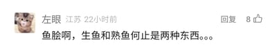 这是一张国内社交媒体平台的评论区静态单图截图，左上角是用户的头像，为一只含着奶嘴、眼神懵懂的小猫；用户昵称是“左眼”，显示所在地为江苏，评论发布时间为22小时前。评论核心内容为“鱼脍啊，生鱼和熟鱼何止是两种东西。。。”，表达了发布者认为生鱼（鱼脍）和熟鱼之间存在极大差异的观点。评论右侧设有“回复”按钮，同时显示该评论获得了8个点赞。