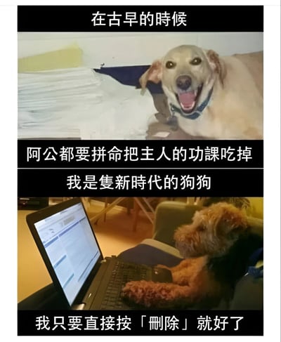 这是一张上下两格的对比梗图，通过两只狗狗的不同行为幽默展现处理主人功课方式的“时代进化”。上格中，一只被称为“阿公”的浅色狗狗趴在一堆纸张旁，张嘴露齿，配文“在古早的时候 阿公都要拼命把主人的功课吃掉”，呈现早期狗狗用“吃”来“帮助”处理功课的场景；下格中，一只卷毛狗狗趴在沙发上，前爪放在笔记本电脑键盘上，屏幕显示文档界面，配文“我是隻新時代的狗狗 我只要直接按「删除」就好了”，对比展示新时代狗狗用“删除键”更便捷地“解决”功课。整体风格轻松搞笑，用宠物视角调侃学生作业压力。