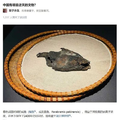 图片为关于中国逆天文物的问答内容。上方显示问题“中国有哪些逆天的文物？”，用户“量子永生”回答“所思寄寰宇，所见皆星河。”并获1337人赞同。下方是核心内容：一张春秋战国时期咸鱼（鲋鱼/武昌鱼）的实物照片，鱼体呈深褐色，放置在圆形竹编容器中。文字说明该文物因高钠离子浓度在地下保存2400年仍完好，现收藏于湖北博物馆。