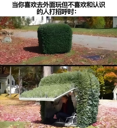 图片为上下两格拼接的图文梗图。上格展示户外场景中一丛修剪成方形的绿色灌木，周围散落着秋叶，背景有房屋和树木；下格揭示灌木实为可掀开的覆盖物，一名男子正躲在下方，单手抬起灌木边缘向外窥视。上方文字点明场景：“当你喜欢去外面玩但不喜欢和认识的人打招呼时”，用幽默方式展现社恐人群外出时为避免社交而躲藏的真实写照。