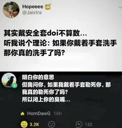 这是一张社交媒体聊天记录截图，展示了用户Hope和HornDawG之间的有趣对话。Hope提出了一个荒谬理论："其实戴安全套doi不算数...听我说个理论: 如果你戴着手套洗手那你真的洗手了吗?"。HornDawG则用一个有力的反问进行反驳："明白你的意思但我问你,如果我戴着手套勒死你,那我真的勒死你了吗?所以闭上你的臭嘴..."。整个对话充满了讽刺和幽默的元素，通过类比来反驳荒谬观点。
