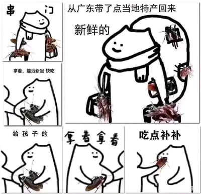 这是一组基于经典串门赠礼梗图改编的搞笑表情包，以广东地区体型硕大、分布广泛的蟑螂为核心创作元素，将蟑螂调侃为“广东当地特产”。图中通过多个连环场景，展现了卡通小白人串门时，热情地把蟑螂当作珍贵礼物赠送的荒诞情节，包括声称蟑螂能治疗新冠、送给孩子、让对方“补身体”等内容，用夸张的反差感制造幽默效果，调侃广东蟑螂在当地的“超强存在感”。
