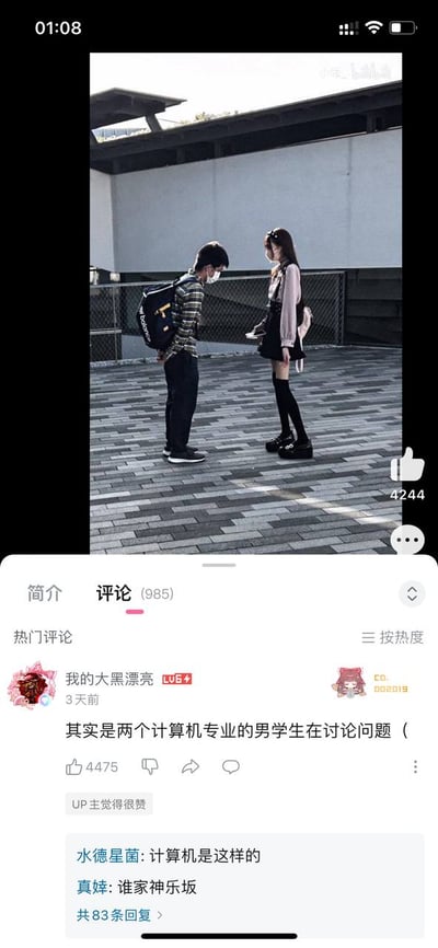 这是一张竖屏的B站手机端界面截图，上半部分是视频播放内容：户外露天的铺砖平台上，一名穿格纹衬衫、背双肩包、戴口罩的男子和一名打扮为甜酷女装风格的人面对面站立，看起来正在交流。下方是该视频的评论区，第一条热门评论玩梗称“其实是两个计算机专业的男学生在讨论问题（”，还有其他用户在该评论下回复呼应，这个梗利用了中文互联网上对计算机专业男性占比高、存在部分爱好女装的男性的刻板印象，制造性别认知反差的笑点。