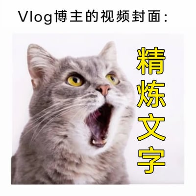 这是一张调侃Vlog博主视频封面风格的搞笑梗图，顶部标注文字“Vlog博主的视频封面：”，主体是一只表情夸张的灰色猫咪，猫咪眼睛圆睁、大张嘴巴，呈现出震惊的神态，猫咪右侧配有竖排黄色加粗的“精炼文字”，用猫咪的惊讶神态来对应Vlog封面常用醒目精炼的文字吸引观众注意力的普遍特点，通过图文结合的方式趣味化总结了自媒体内容封面的创作套路，风格诙谐幽默。