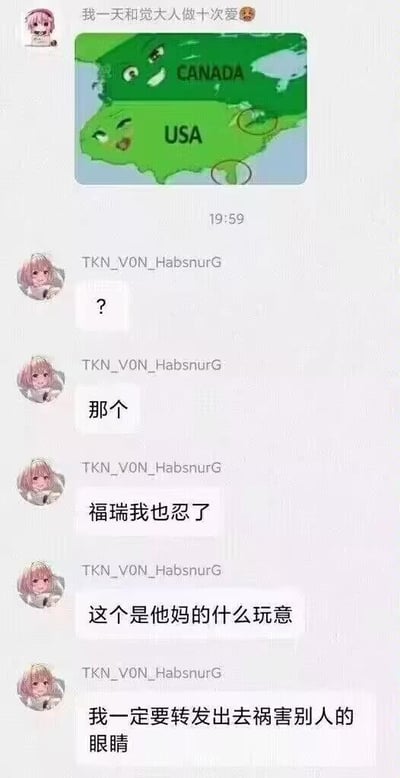 这是一段社交平台的聊天记录截图，用户TKN_V0N_HabsnurG首先发送了一张经过P图改编的北美地图图，配文“我一天和觉大人做十次爱”。这张地图将加拿大和美国拟人化，给它们画上了俏皮的表情，并且圈出了两国地图下方的特定区域，通过地图的形状做低俗暗示，属于恶趣味的P图内容。随后该用户连续发送消息，先是发出疑惑的问号，接着表示“福瑞我也忍了，这个是他妈的什么玩意”，最后放话要把这张图转发出去“祸害别人的眼睛”，表现出对这张离谱梗图的无语和想要整蛊他人的心态。