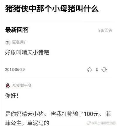 该图片为2013年的一个问答截图，内容围绕“猪猪侠中那个小母猪叫什么”展开。上方显示问题，下方为“最新回答”板块，包含两条用户回复：匿名用户于2013-06-29回答“好象叫晴天小猪吧”，另一位用户“众爱卿平身”则愤怒回应“你好！是你妈晴天小猪。害我打赌输了100元。菲菲公主。草泥马的”，纠正了错误答案并提及因错误答案输掉100元打赌。截图底部右侧有水印“@网上邻居麦当娜”。整体呈现出早期网络问答的怀旧感和用户间的互动情绪。