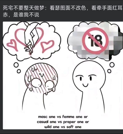 这是一张左右对比的网络梗图，左侧卡通小人脑补牵手的亲密画面时，满脸冒汗、神情窘迫脸红；右侧卡通小人脑补18+涩情内容时，却一脸淡定微笑。顶部配文“死宅不要整天做梦：看瑟图面不改色，看牵手面红耳赤，是谁我不说”，底部英文标注“masc one vs femme one or casual one vs proper one or wild one vs soft one”，用强烈的行为反差，精准吐槽了部分长期接触网络涩情内容，但在现实中面对普通亲密互动却极度害羞社恐的宅群体，通过反差感制造搞笑调侃的效果。