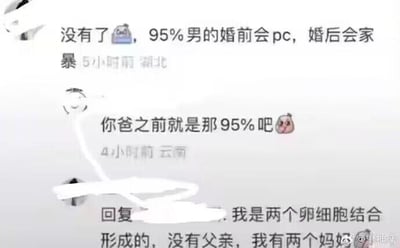 该图为社交媒体评论截图，展示了一场关于男性婚前行为与婚后家暴的争议讨论。上方评论称“95%男的婚前会pc，婚后会家暴”，下方用户回复质疑“你爸之前就是那95%吧”，随后被回复“我是两个卵细胞结合形成的，没有父亲，我有两个妈妈”，引发关于性别议题的激烈讨论。