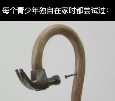 图片上方有一行文字“每个青少年独自在家时都尝试过：”，下方是一张特写照片，展示了一个木制手柄的锤子，其弯曲的手柄上竟然平衡着一颗钉子，形成了一种违反常规物理常识的奇妙平衡状态。这种看似不可能的场景幽默地再现了青少年独自在家时喜欢尝试各种新奇、无聊又充满探索欲的小实验的共同经历，引发观众的共鸣和会心一笑。