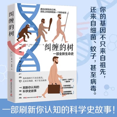 这是一张科普书籍《纠缠的树：一部全新生命史》的官方宣传物料，主体展示了书籍的封面设计。封面以蓝色DNA双螺旋结构为背景，搭配四幅串联的人类进化阶段卡通插画：从四肢爬行的猿类、手持石棒的早期原始人、手持长矛的晚期原始人，到拎着公文包的现代职场人，直观呈现生命演化的完整脉络。图中右侧配有醒目的核心宣传语“你的基因不只来自祖先，还来自细菌、蚊子甚至病毒”，底部标注“一部刷新你认知的科学史故事！”。书籍封面同时标注了作者[美]大卫·奎曼、译者吴勐真的信息，以及本书获得的多项权威认可：《自然》《科学》一致好评、入选《纽约时报》2018年年度选书、入围美国国家非虚构类图书奖，明确传递出本书打破传统进化树认知，讲述基因来源全新视角的核心卖点。
