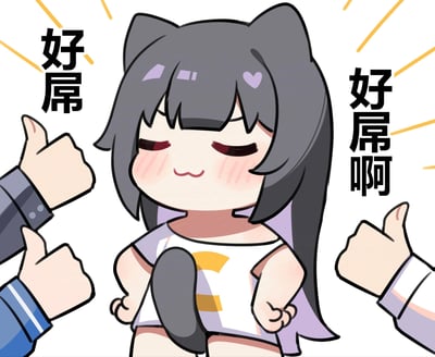 图中是一位灰发猫耳的Q版卡通女孩，她闭着眼睛，脸颊泛起红晕，双手握拳放在腰侧，一脸得意又害羞的模样。画面左右两侧伸出几只竖起大拇指的手，搭配文字「好屌」「好屌啊」，营造出女孩被众人夸赞的场景。
这里使用了谐音梗，「屌」谐音“厉害”，用粗俗化的谐音来强化夸赞的语气，增添搞笑效果。