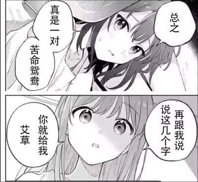 这是一张由上下两格组成的日式黑白短漫梗图：
1. 上格画面：一位留着深色头发的女生侧头，脸上带着无奈的神情，说出对白「总之，真是一对苦命鸳鸯」，似乎在感慨某对情侣的处境。
2. 下格画面：另一位浅色长发的女生直视前方，眼神带着愠怒，说出威胁性的对白「再跟我说这几个字你就给我艾草」。

这里存在谐音梗：「艾草」谐音脏话「挨艹」，用谐音的方式替代直接的脏话，既表达了强烈的愤怒情绪，又让怼人的内容显得搞笑有趣，避免了直接使用不文明用语。