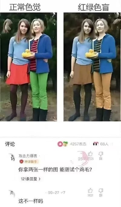 图片上方分左右标注“正常色觉”和“红绿色盲”，下方是两张完全相同的女性合影（两人均穿蓝色外套，一人内搭条纹衫、绿色裤子，另一人穿红色裙子）。图片底部为评论区，热门评论“你拿两张一样的图 能测试个鸡毛？”获4257点赞，下方还有“这不一样吗”的回复，通过对比图与评论的反差制造幽默效果，讽刺无效的色盲测试。