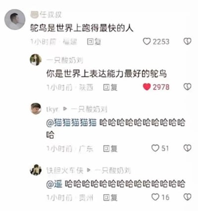 这是一张短视频平台的评论区截图，用户“任叔叔”发布了一条表述有误的评论“鸵鸟是世界上跑得最快的人”，将动物鸵鸟错误归类为“人”；用户“一只酸奶刘”随即回复“你是世界上表达能力最好的鸵鸟”，顺着对方的错误进行调侃，回复十分巧妙有趣，获得了2978个赞，远高于原评论的2253赞。之后用户“tkyr”和“铁胆火车侠”分别@自己的好友，附上一连串的笑声，进一步烘托了评论区欢乐搞笑的氛围，整个互动充满了趣味性，是典型的评论区玩梗场景。