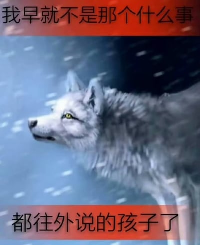 图片主体是一只白色的狼，它站立在飘着雪花的雪地环境中，身体微微侧对镜头，头部转向左侧，眼神平静且坚定。图片的顶部和底部各有一条红色横幅，上面用黑色字体写着文字：“我早就不是那个什么事都往外说的孩子了”。整体画面营造出一种历经成长后变得内敛、不再轻易表露内心的氛围。