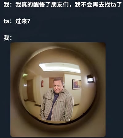 图片上方是三段对话文字，第一段为“我：我真的醒悟了朋友们，我不会再去找ta了”，第二段是“ta：过来?”，第三段仅“我：”。下方是一张通过猫眼视角拍摄的照片，显示一名穿着条纹衬衫的男子站在走廊中，面带期待的微笑看向镜头，幽默地表现出嘴上说不再联系但身体很诚实的矛盾心理。