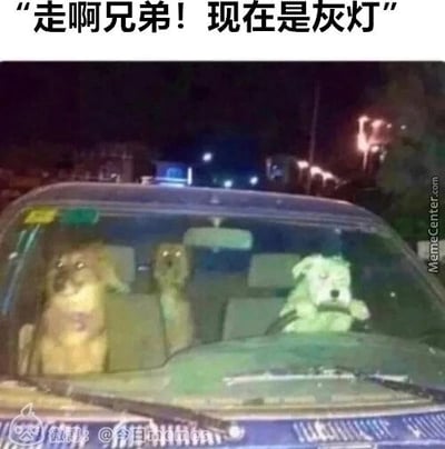 这是一张经过P图改编的搞笑梗图，画面中三只狗狗被拟人化放置在汽车的不同座位，驾驶位的狗狗爪子搭在方向盘上，模仿人类开车的样子，上方配文“走啊兄弟！现在是灰灯”，玩了谐音梗，将交通信号灯里的“绿灯”谐音为“灰灯”，用无厘头的方式模仿“绿灯行”的规则，暗示现在可以出发，拟人化的动物搭配谐音梗，让整体画面充满趣味和笑点。
