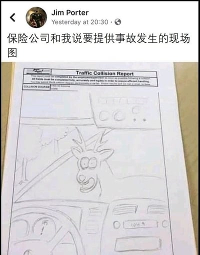 图片为社交媒体截图，上方是用户Jim Porter的帖子，内容为“保险公司和我说要提供事故发生的现场图”。下方是一张《Traffic Collision Report》（交通事故报告）表格，表格内有一幅手绘的事故示意图：画面中显示了汽车内部的仪表盘（车速表指向104.9），车前方有一只表情惊讶、眼睛圆睁的鹿，背景还有简单的树木线条。整体通过“保险公司索要现场图却收到夸张手绘”的反差制造幽默效果，手绘鹿的呆萌形象和认真的报告表格形成趣味对比。
