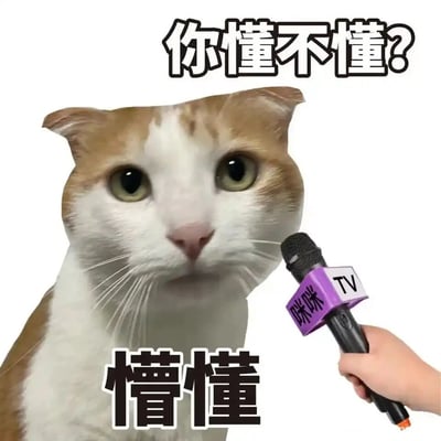 这是一张经过P图改编的静态搞笑梗图，画面主体是一只黄白相间的猫咪，它睁着圆眼睛，一脸茫然的表情。画面右侧有一只手举着带有“咪咪TV”标识的采访麦克风，正对着猫咪。图片上方配有文字“你懂不懂？”，下方配有文字“懵懂”，模拟了媒体采访的场景，猫咪的茫然表情与“懵懂”的回应形成强烈反差，精准地传递出对某事一知半解、茫然无措，甚至不懂装懂的状态，常用于社交聊天中表达自己的这种情绪。