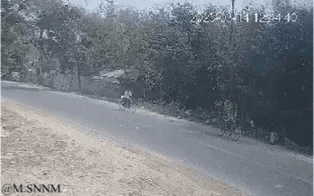 这是一段动态GIF画面，记录了乡间水泥道路上的惊险瞬间：一名骑手驾驶摩托车行驶在道路上，身体姿态出现明显不稳，似乎正处于失控的状态，道路一侧是土坡，另一侧是茂密的树木与植被，整体场景充满意外感。