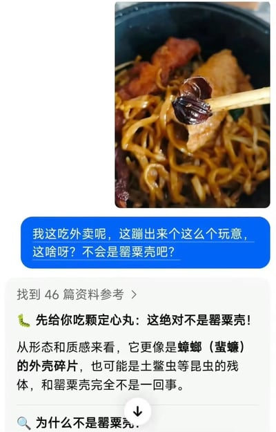 这张图为上下排布的图文混排内容，上方是实拍的外卖炒面照片，筷子夹起了一个深褐色的类壳状异物；下方先是蓝色的用户提问气泡，内容为用户吃外卖时吃出该异物，怀疑是罂粟壳，询问是什么东西；再下方是搜索答疑的内容，首先表示该异物绝对不是罂粟壳，进而说明从形态和质感判断，该异物更可能是蟑螂（蜚蠊）的外壳碎片，也可能是土鳖虫等昆虫的残体。内容以反讽的“那我就放心了”为标题，利用答疑结果比用户原本担心的情况更糟糕的强烈反差形成笑点，极具搞笑效果。