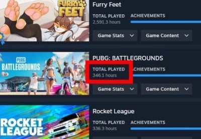 这是一张Steam游戏客户端的界面截图，展示了三款游戏的累计游玩时长：《Furry Feet》2591.3小时，《PUBG: BATTLEGROUNDS》3461小时，《Rocket League》336.3小时。其中《PUBG: BATTLEGROUNDS》的游玩时长被红色方框标注，突出其远超另外两款游戏的时长，直观体现出用户对这款大逃杀游戏的重度喜爱。
