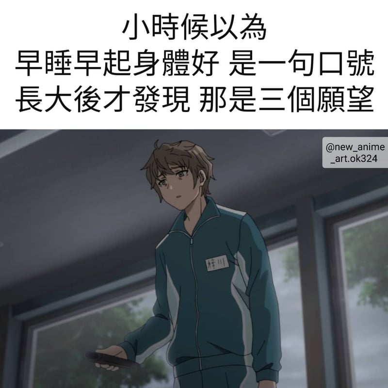动画作品