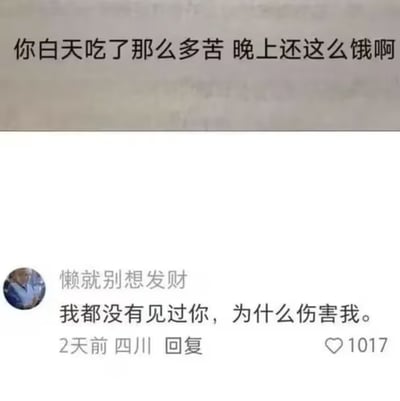这是一张社交媒体评论类梗图，图片上方的文字玩了“吃苦”的中文双关：原本“吃苦”是指人经受辛苦磨难的抽象含义，此处被故意曲解为食用了名为“苦”的食物，借此调侃打工人白天已经承受了诸多工作上的辛苦，到了晚上依然会感到饥饿需要进食，精准戳中当代打工人的日常处境，极易引发共鸣。图片下方是网名为“懒就别想发财”的用户发布的评论，吐槽上方的梗太过扎心，仿佛被素不相识的人戳中了自己的真实境遇，该评论发布于四川，发布时间为2天前，共获得1017个点赞。