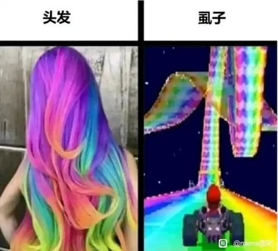 这是一张充满脑洞的左右对比搞笑梗图，左侧展示了一头色彩绚丽的渐变彩虹色长卷发，发丝层次分明、卷曲蓬松，人物背对着镜头，将头发的全貌展现出来，上方配有文字标注“头发”；右侧是一段卡通赛车游戏的画面，一辆赛车正行驶在色彩斑斓的彩虹赛道上，赛道延伸向远方，画面充满动感，上方配有文字标注“虱子”。这张图通过视觉上的相似性，将彩虹头发的纹理联想成彩虹赛道，调侃在这样的头发里，虱子就像在赛道上开车一样，用夸张的创意制造出搞笑的效果。