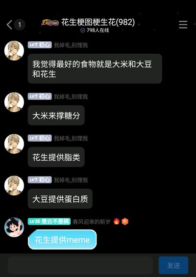 这是一张竖屏格式的群聊截图，群名为“花生梗图梗生花(982)”，当前有798人在线。用户“LV7 初心（我掉毛,别理我）”连续发布四条消息，称大米、大豆、花生是最优食物组合，并分别阐述三者的营养作用：大米提供糖分、花生提供脂类、大豆提供蛋白质，是类似营养科普的发言。随后用户“LV35 是云不是祸（春风迎来的新岁）”结合群聊“花生梗图”的主题进行玩梗，将花生的作用替换为“提供meme”，把原本严肃的营养话题转化为贴合群定位的梗图素材话题，制造出反差搞笑的效果。