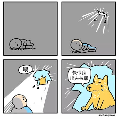 这是一则四格连环卡通漫画：第一格中，光头主人正躺着熟睡；第二格中，上方突然有物体破墙而入，主人被惊醒，抬头露出惊讶的表情；第三格中，破墙处露出一只黄色狗狗的头，它喊了一声“喂”；第四格中，狗狗完全从破洞处进来，流着汗一脸着急地对主人说“快带我出去拉屎”。漫画用夸张的破墙叫醒方式制造强烈反差，以宠物主人的日常趣事为内容，充满搞笑效果。