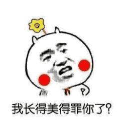 这是一张搞笑表情包，画面主体是一个卡通化的人脸，脸部圆润，两侧有红色腮红，头顶戴着一朵黄色小花。人物表情看起来有些疑惑又带点委屈，下方配有文字'我长得美得罪你了？'，整体风格幽默，常用于自嘲或调侃他人对自己外貌的评价。