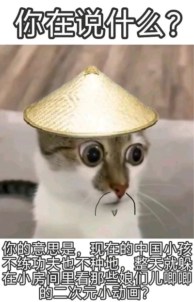 这是一张网友创作的搞笑P图表情包，主体是一只被添加了斗笠和手绘小胡子的猫咪，猫咪瞪大双眼，表情充满疑惑与惊讶。图中上方配文“你在说什么？”，下方配文以模仿外国人对中国小孩的刻板印象的语气展开吐槽，调侃外国人固有认知里中国小孩要么练功夫要么种地，无法理解当代中国小孩喜爱二次元动画的生活状态，通过这种刻板印象与现实的反差制造幽默搞笑的效果，常用于表达疑惑、惊讶情绪，或是对刻板印象进行调侃。