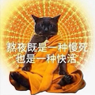 一只穿着橙色僧袍的黑猫盘腿坐在类似佛教经文的金色圆形背景前，做出冥想姿势。图片中央有文字：'熬夜既是一种慢死也是一种快活'，用幽默的方式将佛教冥想的宁静形象与现代年轻人熬夜的矛盾心理结合起来，形成一种反差萌的搞笑效果。