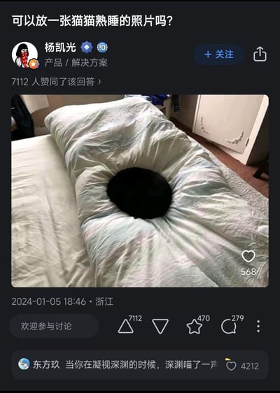 这是知乎平台上的一个搞笑回答：用户提问“可以放一张猫猫熟睡的照片吗？”，答主杨凯光放出一张真实拍摄的照片——纯黑的猫咪蜷在被子中间的凹陷处，因为毛色全黑，视觉上酷似一个“黑洞”，极具迷惑性。下方高赞评论玩了尼采“当你在凝视深渊的时候，深渊也在凝视你”的梗，改编为“当你在凝视深渊的时候，深渊喵了一声”，将黑猫比作深渊，趣味拉满，让这个回答获得了大量赞同与互动。
视觉趣味点：纯黑猫咪与被子凹陷处的阴影融合，远看容易让人误以为是被子上的黑洞，形成有趣的视觉错觉。