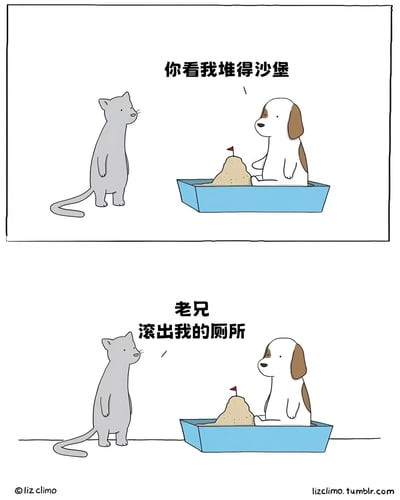 这是一幅两格漫画，描绘了一个有趣的误会场景。上格中，一只棕白相间的狗坐在蓝色容器里，自豪地向灰色猫咪展示自己用沙子堆的小沙堡，沙堡上还插着一面小红旗，狗说："你看我堆得沙堡"。下格中，猫咪看着同一个场景，无奈地对狗说："老兄 滚出我的厕所"，揭示了狗实际上是在猫砂盆里玩耍。