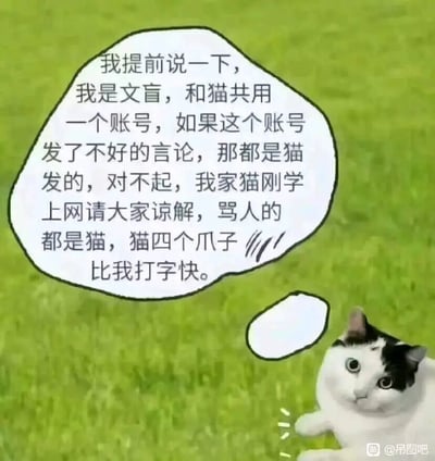 这是一张经过二次创作的搞笑表情包，画面背景为绿色草地，右下角有一只黑白相间的奶牛猫，它睁着圆溜溜的大眼睛，露出无辜的神情，同时抬起一只爪子，仿佛正在操作键盘。猫的上方有一个大的对话气泡，里面是一段提前“甩锅”的声明：账号使用者自称是文盲，和猫共用这个账号，若账号发布了不当言论，都是刚学上网的猫所为，还调侃猫四个爪子打字比自己快，提前向大家致歉请求谅解。图片右下角带有“@吊图吧”的水印，整体内容幽默戏谑，用把责任推给宠物的荒诞方式，为自己未来可能出现的不当言论提前找好借口，是典型的网络整活类趣味内容。