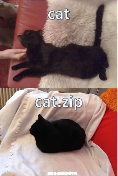 本图分为上下两部分，上半部分是一只全身舒展、平躺着的黑猫，配有"cat"字样，下半部分是一只卷缩成团的黑猫，配有"cat.zip"字样。通过对比猫咪不同姿态，戏谑地用网络压缩包格式“zip”来形容猫咪压缩后的形态，制造了有趣的视觉双关与网络幽默。

双关说明：cat.zip谐指“猫被压缩打包”，结合电脑常用术语和现实猫咪行为，形成网络流行的二次创作梗。