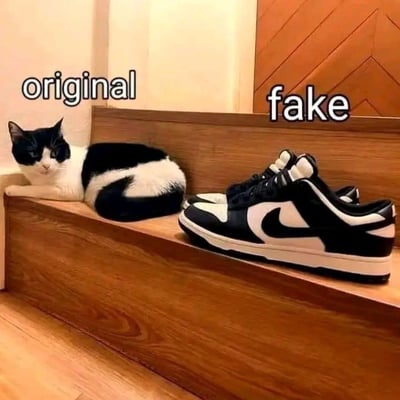 一张幽默对比图，左边是一只黑白相间的猫咪，上方标注着“original”（原版）；右边是一双黑白配色的耐克运动鞋，上方标注着“fake”（仿冒）。图片通过巧妙的并置，暗示猫咪的天然黑白毛色才是真正的“原版设计”，而名牌运动鞋不过是模仿这种经典配色的“仿制品”，营造出一种反差萌的喜剧效果。
