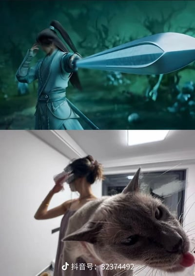 整张图为上下拼接的对比梗图，上半部分是国产玄幻动画的截图，画面中是一名束高马尾、身着浅蓝色古风服饰的男性角色，他抬手放在额前，上臂位置伸出一柄造型流畅的浅蓝色长刃武器，背景为暗绿色的诡谲树林环境；下半部分是现实居家场景的实拍图，一名扎着丸子头的女子背对镜头侧身站立，抬手将物品举在眼部前方，动作与上半部分的动画角色高度相似，画面前景处有一只暹罗猫凑近镜头，它的两只耳朵恰好和上半部分动画里的武器位置、倾斜角度高度重合，形成了仿佛女子手臂处长出猫耳的错位视觉效果，充满无心巧合的趣味感。