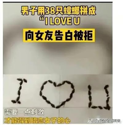 这是一张图文混排的趣味内容图，上方用醒目的黄色和白色文字讲述事件：一名男子为追求暗恋的女子，用38只蟑螂拼成“I LOVE U”的字样进行告白，结果遭到拒绝。下方是实拍的蟑螂拼成的“I”、爱心形状与“U”的画面，底部还有一行文字“需要一点刺激才能得到暗恋女子的心”，男子试图用另类刺激的方式打动对方，却弄巧成拙，整体氛围搞笑又离谱，充满了荒诞感。