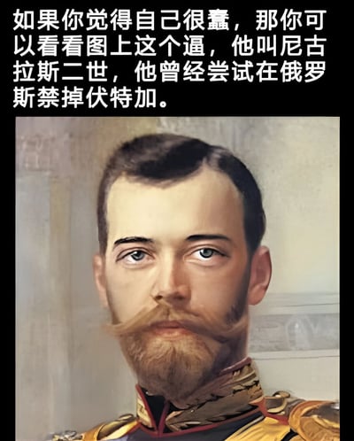 这是一张历史人物梗图，上方配有调侃文字："如果你觉得自己很蠢，那你可以看看图上这个逼，他叫尼古拉斯二世，他曾经尝试在俄罗斯禁掉伏特加。" 图片主体是俄罗斯末代沙皇尼古拉二世的正式肖像，他穿着华丽的军装，表情严肃，留着典型的沙皇时期胡须。通过将历史事件与现代网络语言结合，形成幽默效果。