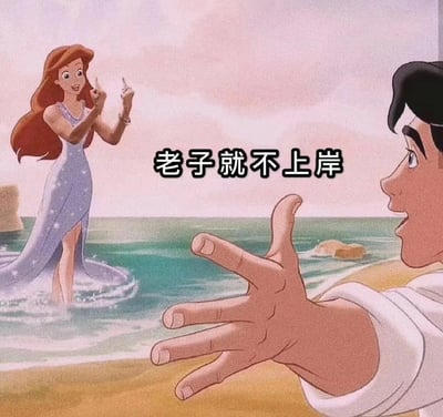 这张图改编自迪士尼动画片《小美人鱼》的片段，画面中“美人鱼” Ariel 站在海水里，面对岸边似乎在向她伸手的王子角色，但她却用极为叛逆的手势（双手朝天竖中指）表达拒绝，上方配有文字“老子就不上岸”。这句话常用于形容不愿顺应主流或外界期待、坚持自己立场、拒绝“被改变”。图中带有一定的反叛、摆烂和自我坚持的意味，同时这种构图有点反差萌和幽默。

此外，“老子就不上岸”也常见于网络语境，指网络成瘾、沉迷某种状态，不愿回归现实，或者只是单纯地以戏谑的态度回应劝说。谐音或暗示元素不明显，但整体语气属于网络流行语气。