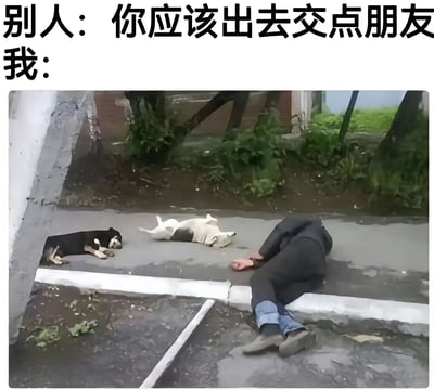图片上方文字为“别人：你应该出去交点朋友 我：”，下方是一张实拍照片。照片中一名穿着深色上衣和蓝色裤子的人正躺卧在户外的水泥地面上，身旁有两只狗——一只黑色狗狗趴卧着，另一只白黑相间的狗狗侧躺着，三者都处于放松休息的状态。背景可见一些绿色植物和建筑物的部分结构，整体场景呈现出一种悠闲、不愿社交的氛围。通过文字与图片的结合，幽默地表达了面对他人建议社交时，更愿意选择与宠物相伴、安静独处的心态。