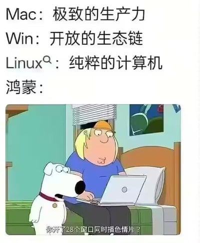 这是一张玩梗吐槽不同操作系统定位的图文混排梗图，图片上方依次列出大众对不同操作系统的标签评价：Mac主打极致的生产力，Windows拥有开放的生态链，Linux被称为纯粹的计算机，写到鸿蒙仅留下“鸿蒙：”就戛然而止；下方配图截自动画《恶搞之家》，画面中白色狗狗布莱恩惊讶地质问坐在床上用笔记本电脑的克里斯“你开了28个窗口同时播色情片？”，以此暗示鸿蒙桌面端定位模糊、用户使用场景杂乱，完成玩梗吐槽。