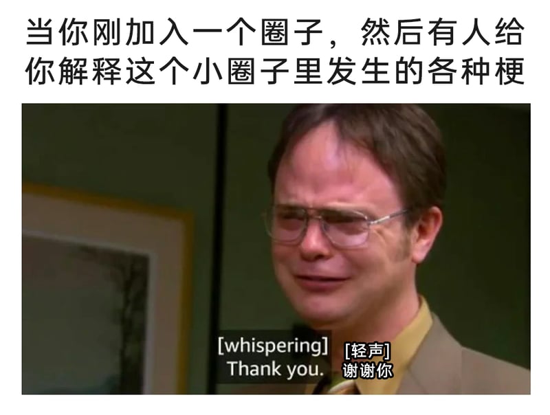 德怀特·施鲁特