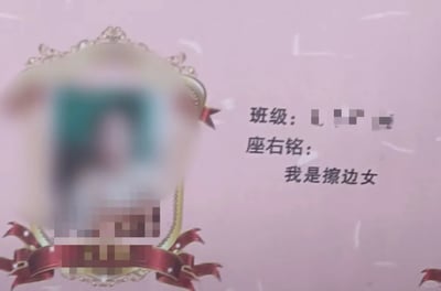 这是一张粉色背景的个人展示类卡片，左侧有一个装饰着红色丝带的华丽头像框，框内的人物图像被模糊和打码处理，无法辨识具体样貌；右侧区域标注了“班级：”（班级具体信息被打码遮挡）、“座右铭：”，下方的座右铭内容为“我是擦边女”，该表述属于不符合正向价值观的争议性内容，与常规个人展示卡片的积极定位相悖。